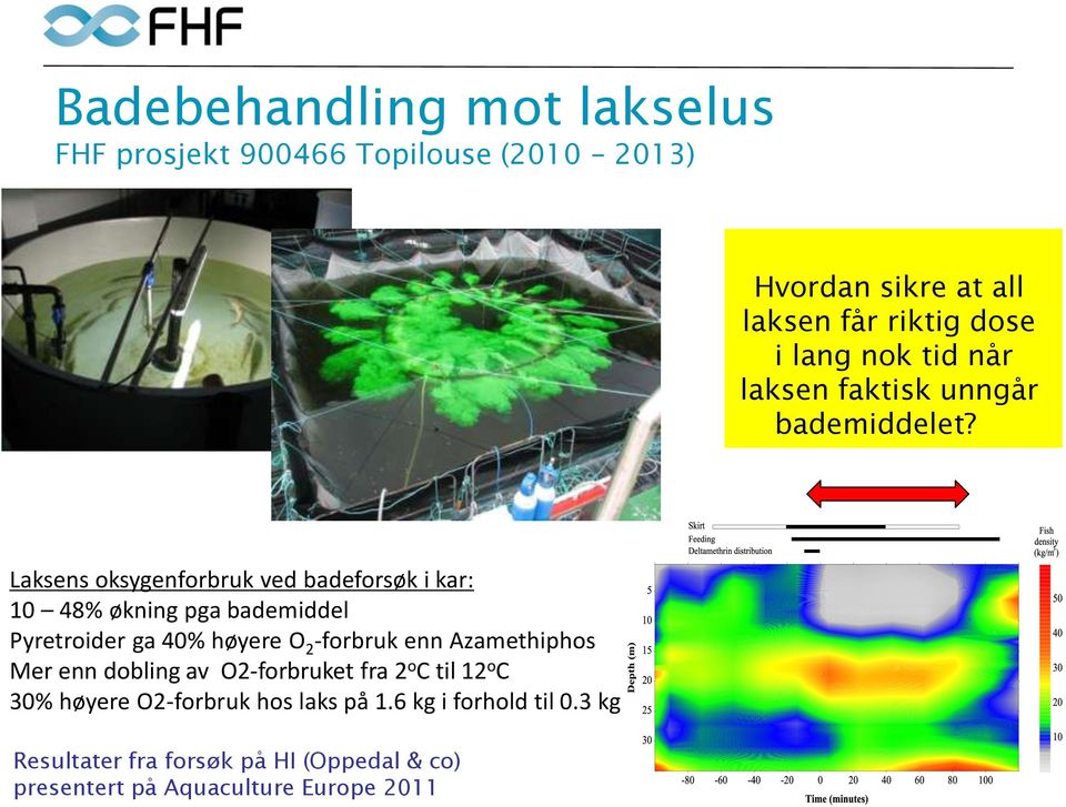 Laksens oksygenforbruk ved badeforsøk i kar: 10 48% økning pga bademiddel Pyretroider ga 40% høyere O 2 -forbruk enn