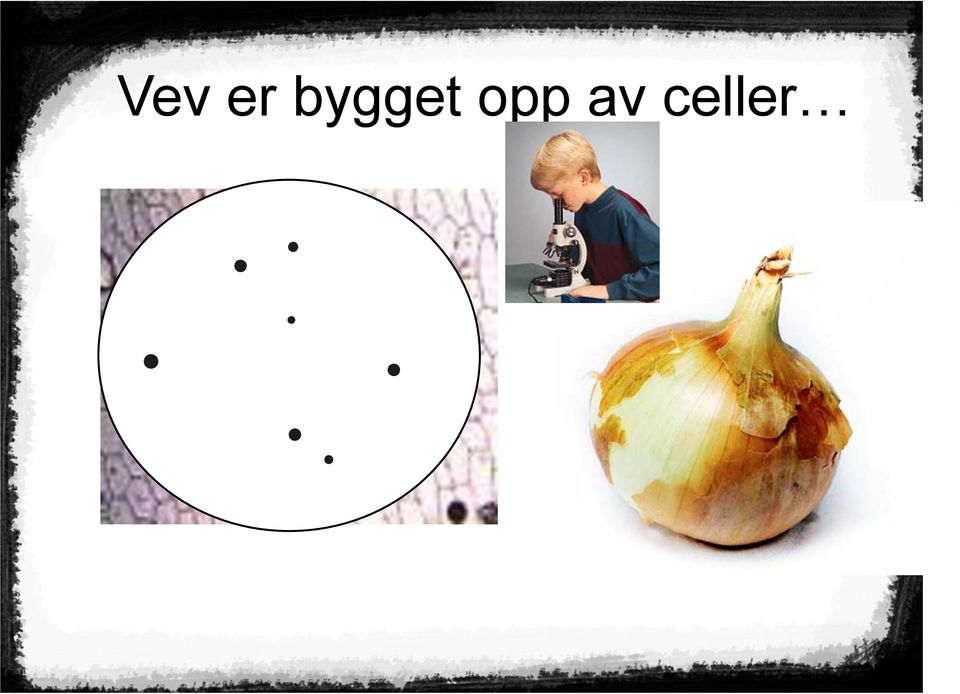 opp av