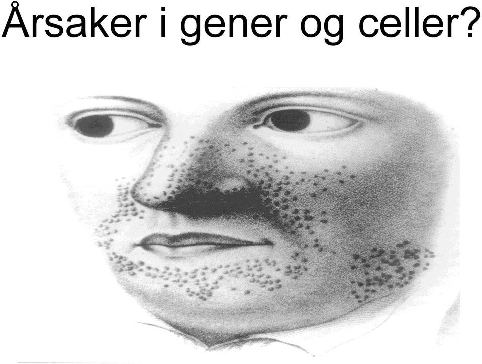 celler?