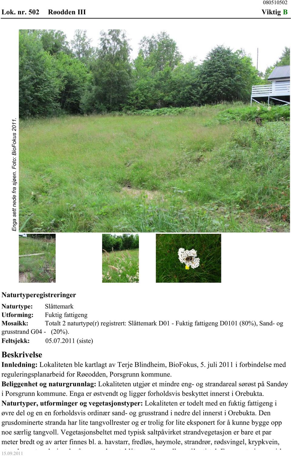 Feltsjekk: 05.07.2011 (siste) Beskrivelse Innledning: Lokaliteten ble kartlagt av Terje Blindheim, BioFokus, 5. juli 2011 i forbindelse med reguleringsplanarbeid for Røeodden, Porsgrunn kommune.