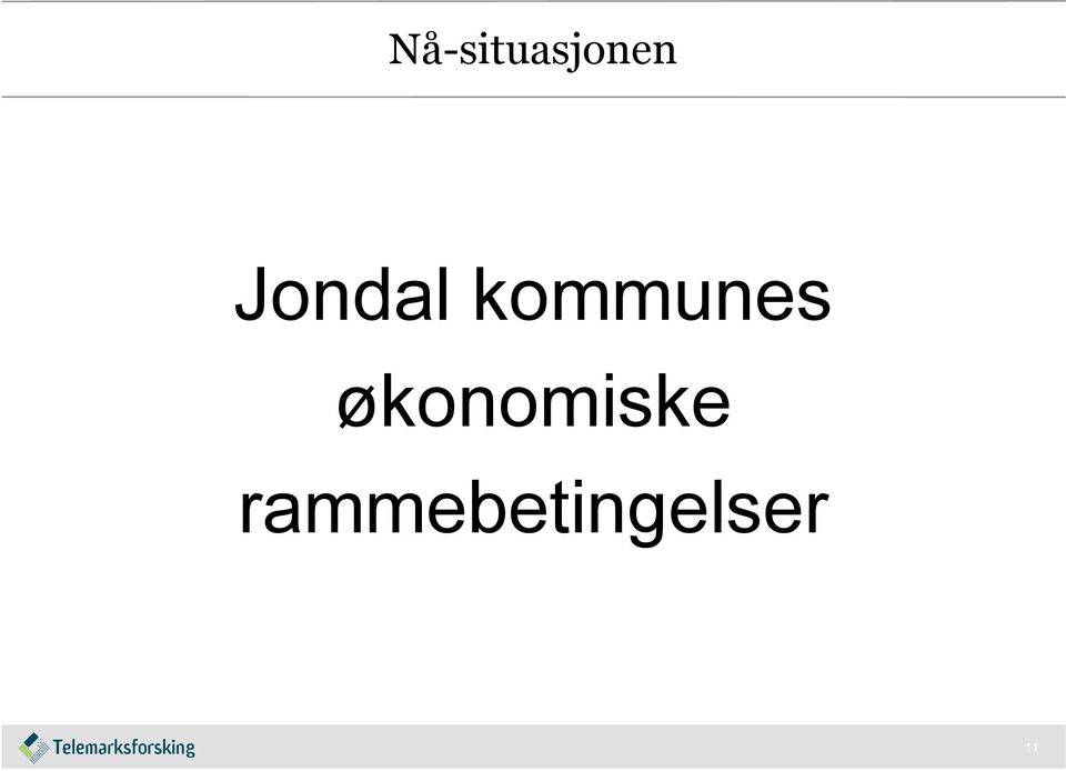 økonomiske