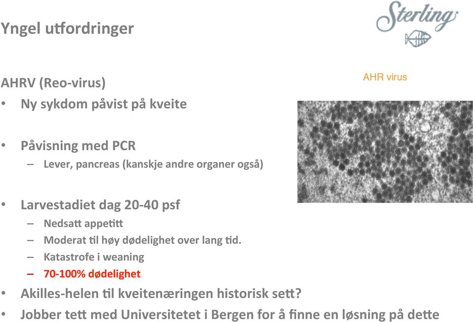 høy dødelighet over lang 4d.