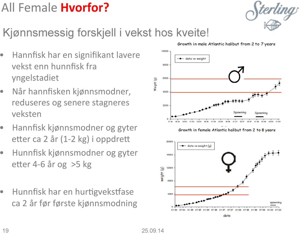 kjønnsmodner, reduseres og senere stagneres veksten Hannfisk kjønnsmodner og gyter eger ca 2 år