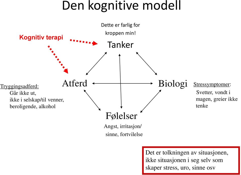 Følelser Angst, irritasjon/ sinne, fortvilelse Biologi Stressymptomer: Svetter, vondt i