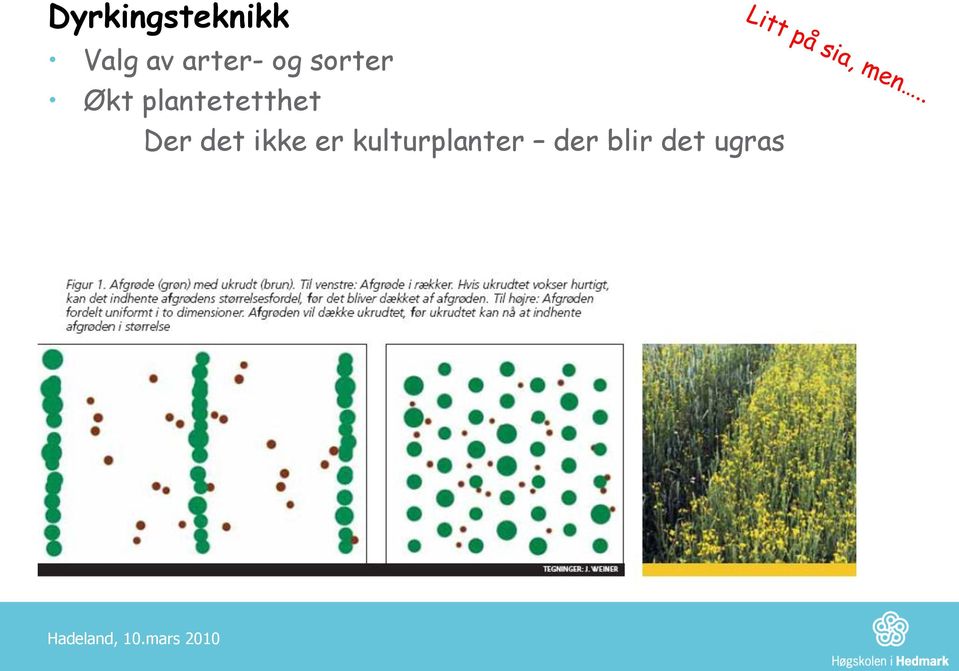 det ikke er kulturplanter der