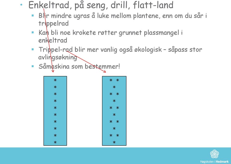 plassmangel i enkeltrad Trippel-rad blir mer vanlig også økologisk såpass