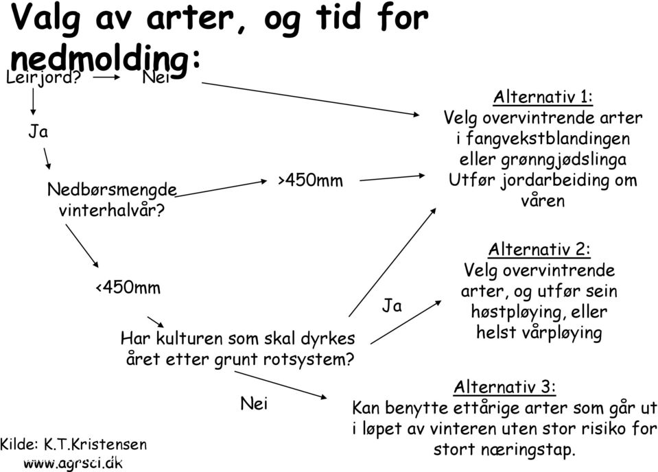 K.T.Kristensen Hadeland, www.agrsci.dk 10.mars 2010 Har kulturen som skal dyrkes året etter grunt rotsystem?