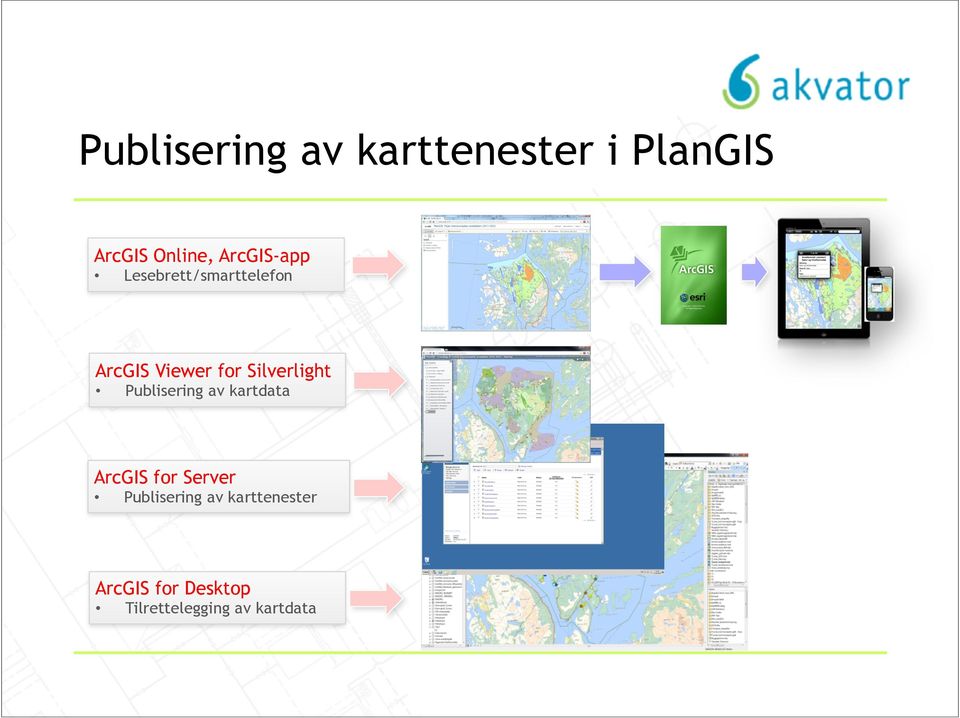 Silverlight Publisering av kartdata ArcGIS for Server