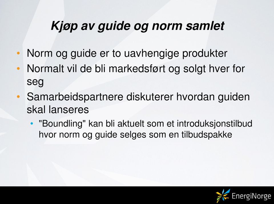 Samarbeidspartnere diskuterer hvordan guiden skal lanseres "Boundling"