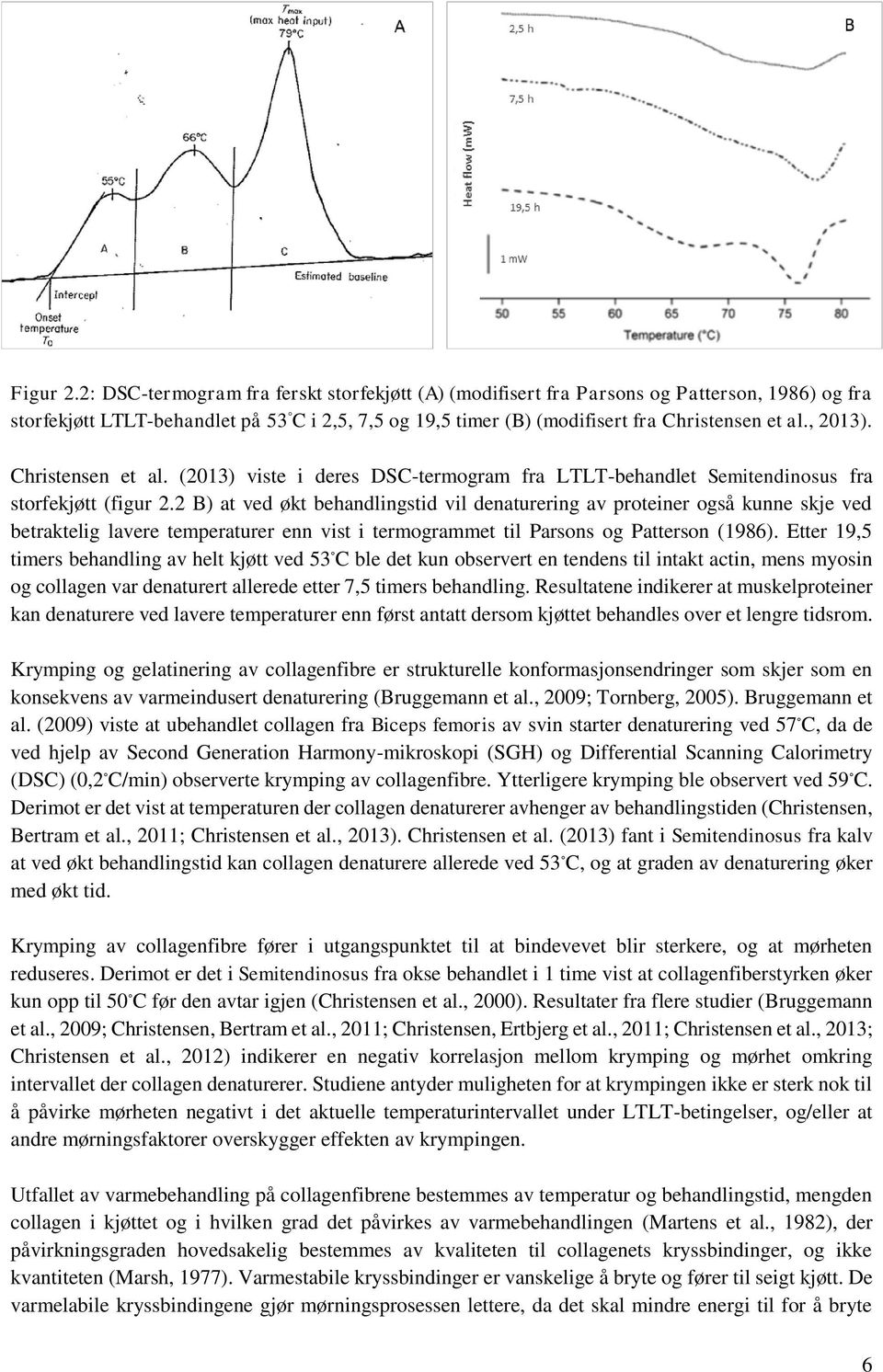 , 2013). Christensen et al. (2013) viste i deres DSC-termogram fra LTLT-behandlet Semitendinosus fra storfekjøtt (figur 2.