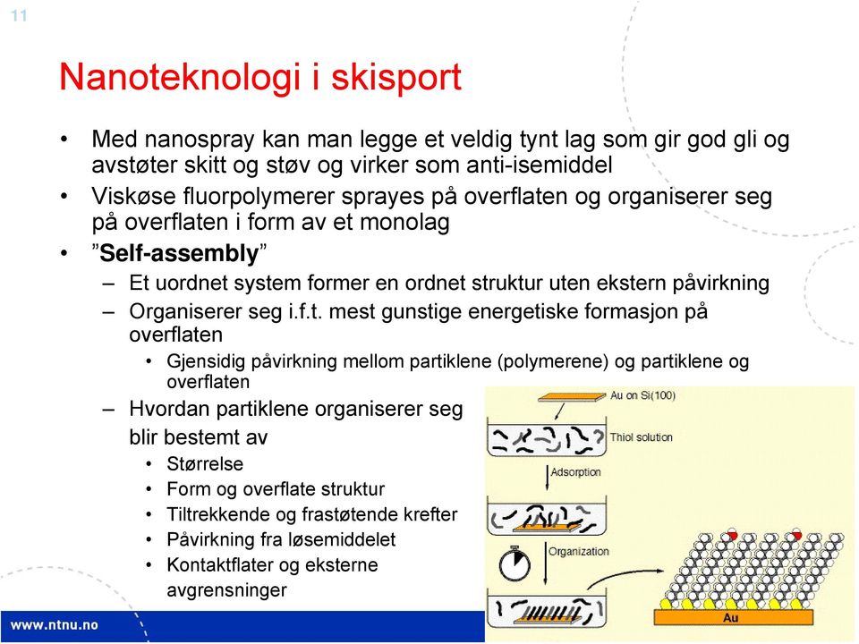 påvirkning Organiserer seg i.f.t.