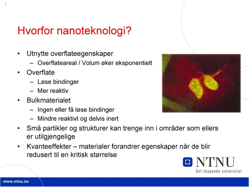 Mer reaktiv Bulkmaterialet Ingen eller få løse bindinger Mindre reaktivt og delvis inert Små