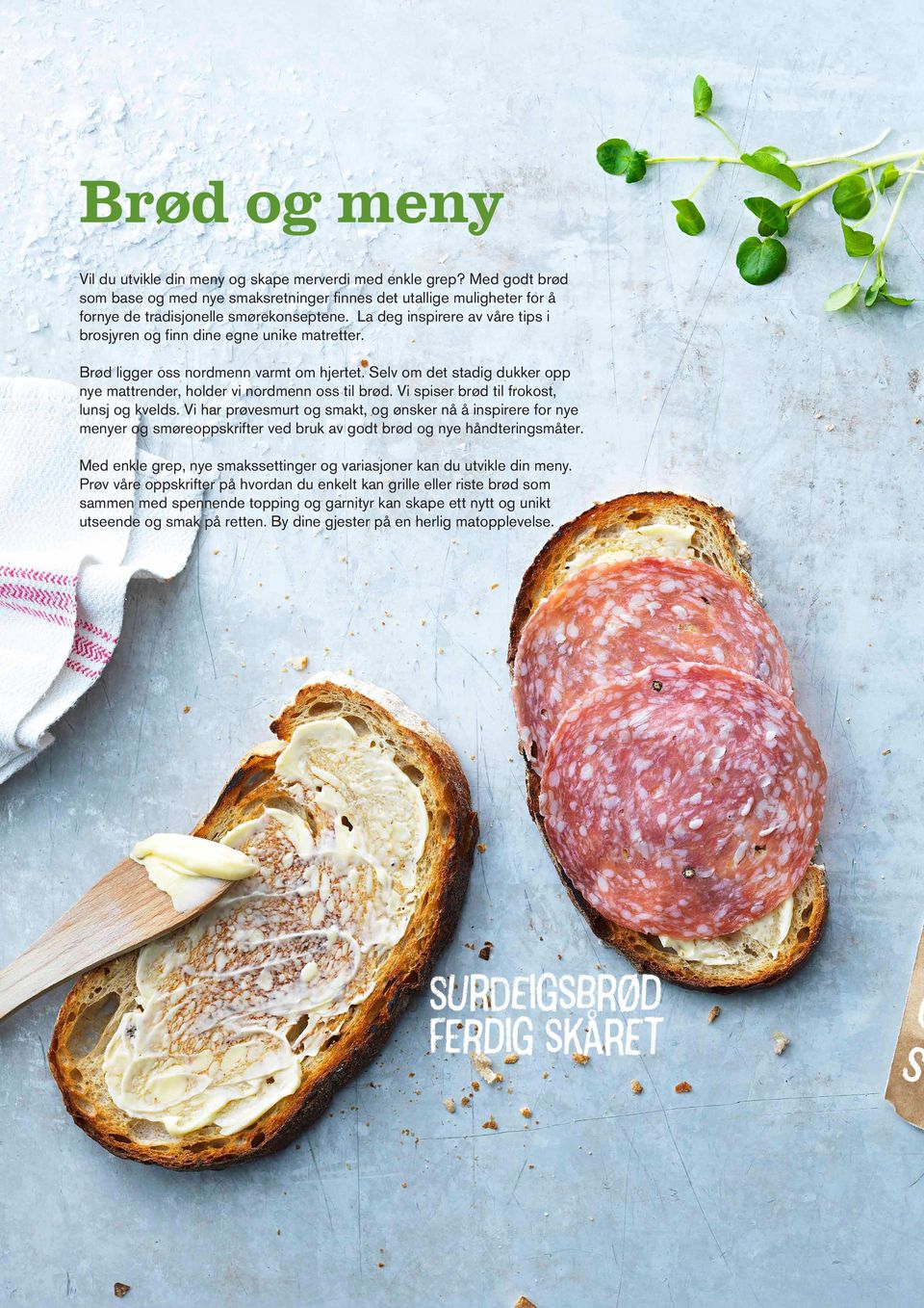 Vi spiser brød til frokost, lunsj og kvelds. Vi har prøvesmurt og smakt, og ønsker nå å inspirere for nye menyer og smøreoppskrifter ved bruk av godt brød og nye håndteringsmåter.