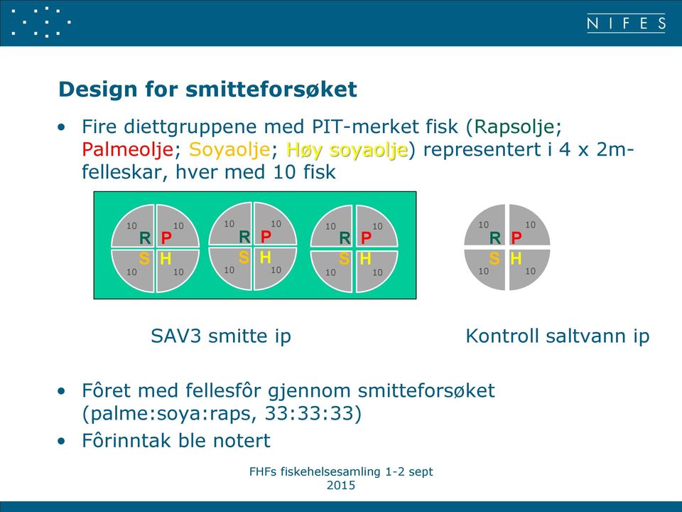 fisk R P S H R P S H R P S H R P S H SAV3 smitte ip Kontroll saltvann ip Fôret