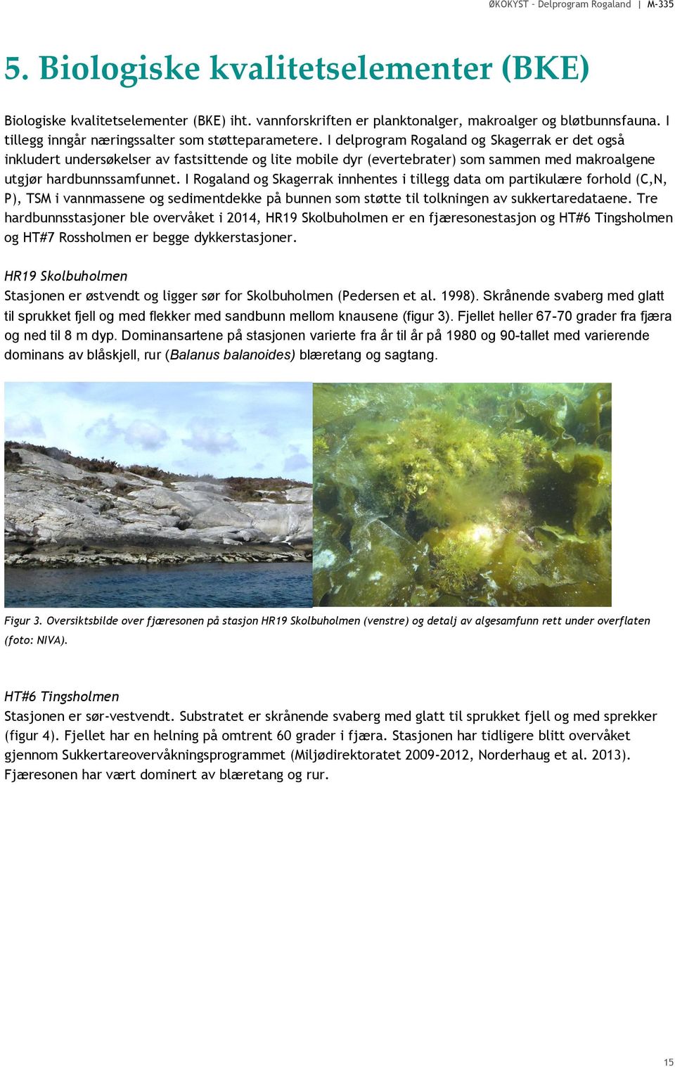 I Rogaland og Skagerrak innhentes i tillegg data om partikulære forhold (C,N, P), TSM i vannmassene og sedimentdekke på bunnen som støtte til tolkningen av sukkertaredataene.