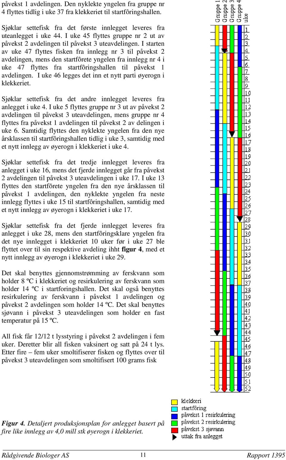 I starten av uke 47 flyttes fisken fra innlegg nr 3 til påvekst 2 avdelingen, mens den startfôrete yngelen fra innlegg nr 4 i uke 47 flyttes fra startfôringshallen til påvekst 1 avdelingen.