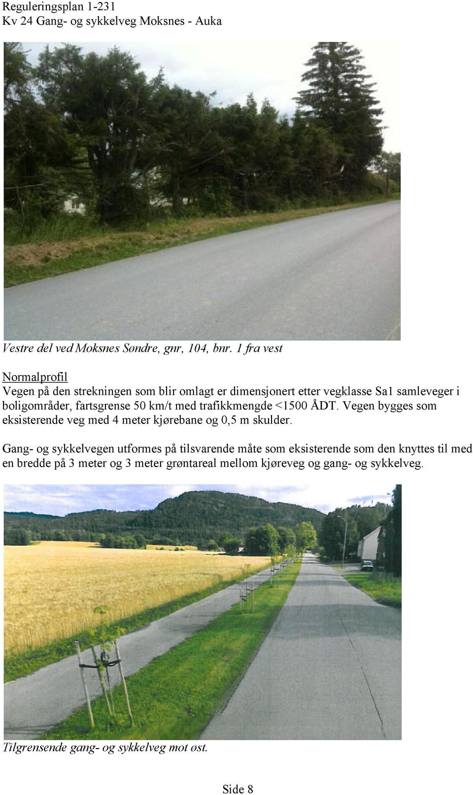 fartsgrense 50 km/t med trafikkmengde <1500 ÅDT. Vegen bygges som eksisterende veg med 4 meter kjørebane og 0,5 m skulder.