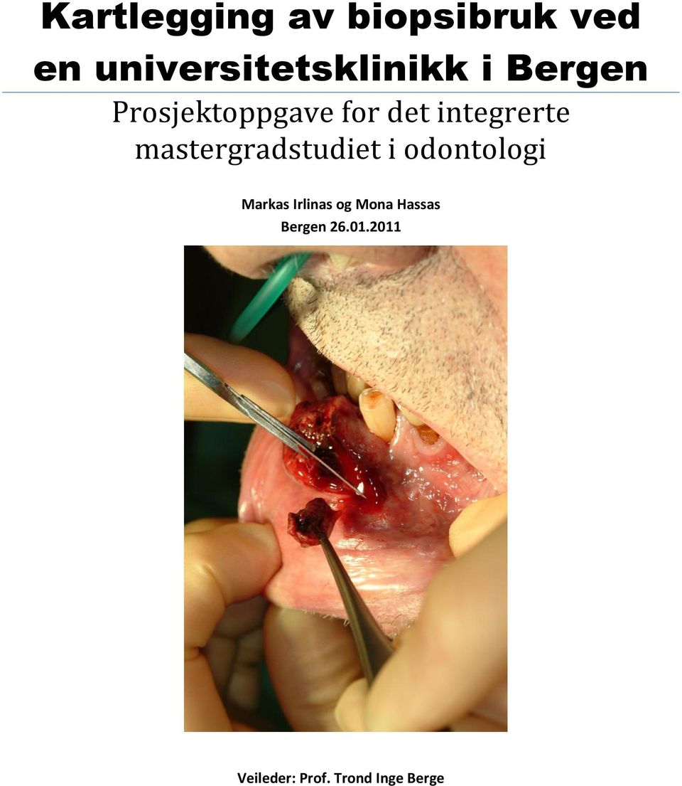 det integrerte mastergradstudiet i odontologi