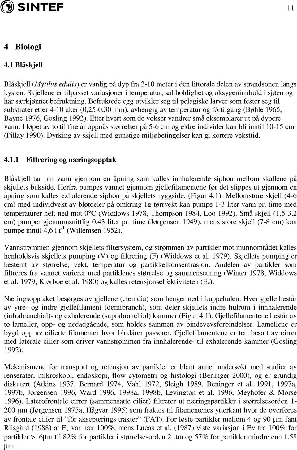 Befruktede egg utvikler seg til pelagiske larver som fester seg til substrater etter 4-10 uker (0,25-0,30 mm), avhengig av temperatur og fôrtilgang (Bøhle 1965, Bayne 1976, Gosling 1992).