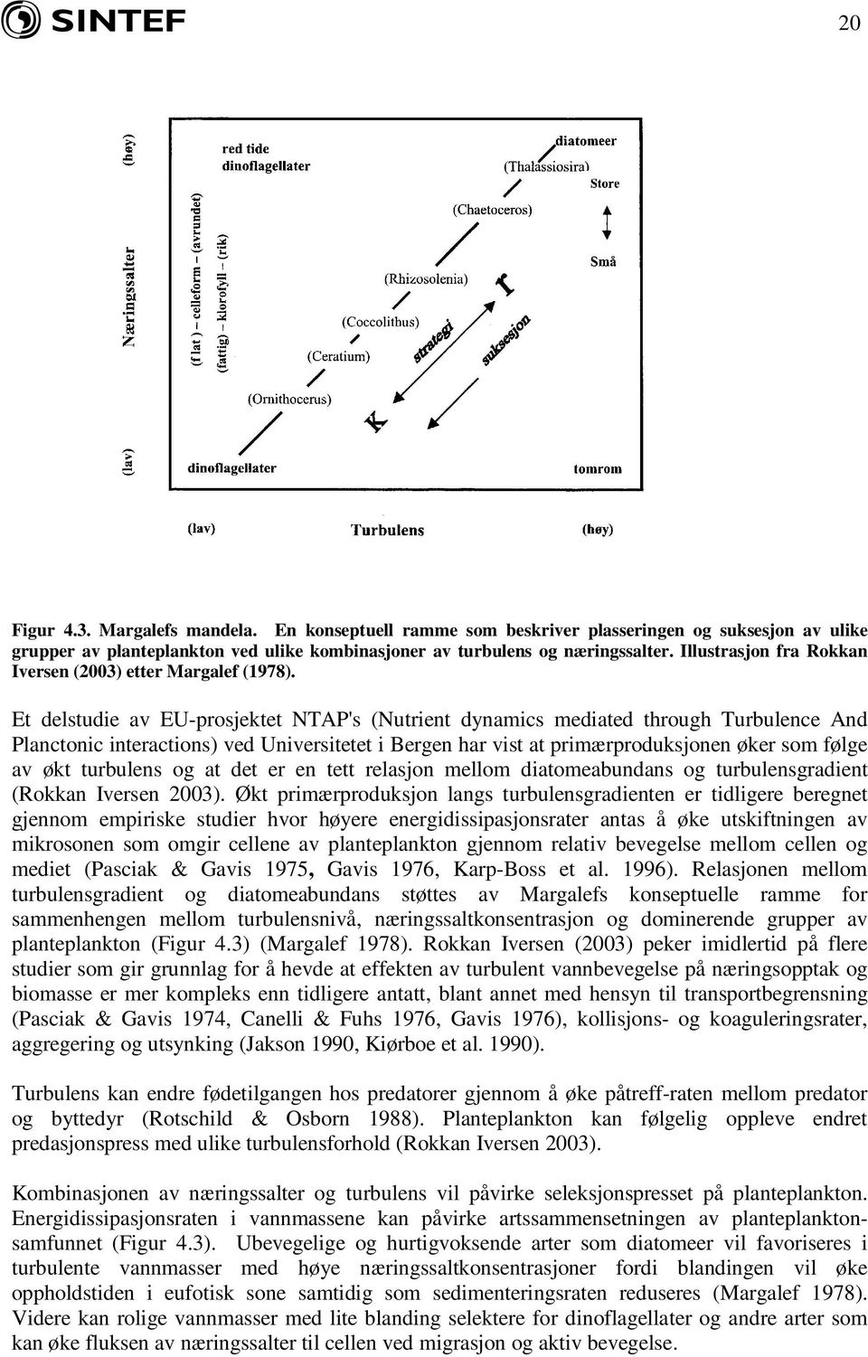 Et delstudie av EU-prosjektet NTAP's (Nutrient dynamics mediated through Turbulence And Planctonic interactions) ved Universitetet i Bergen har vist at primærproduksjonen øker som følge av økt