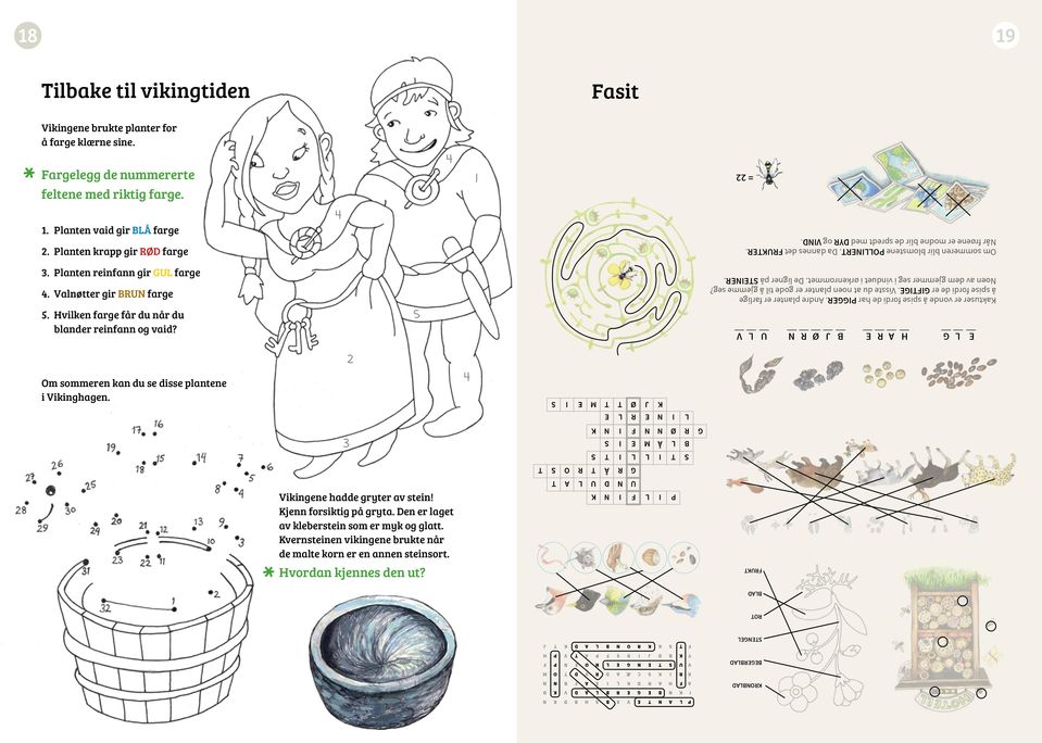 Valnøtter gir BRUN farge 5. Hvilken farge får du når du blander reinfann og vaid? 5 Om sommeren kan du se disse plantene i Vikinghagen. Vikingene hadde gryter av stein! Kjenn forsiktig på gryta.