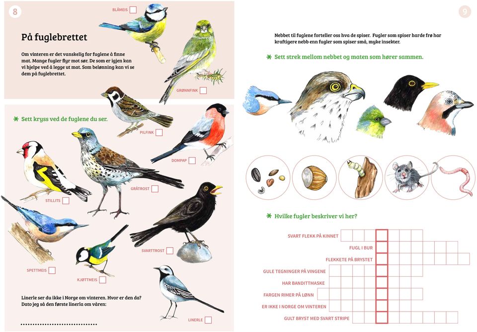 Sett strek mellom nebbet og maten som hører sammen. GRØNNFINK Sett kryss ved de fuglene du ser. PILFINK DOMPAP GRÅTROST STILLITS Hvilke fugler beskriver vi her?