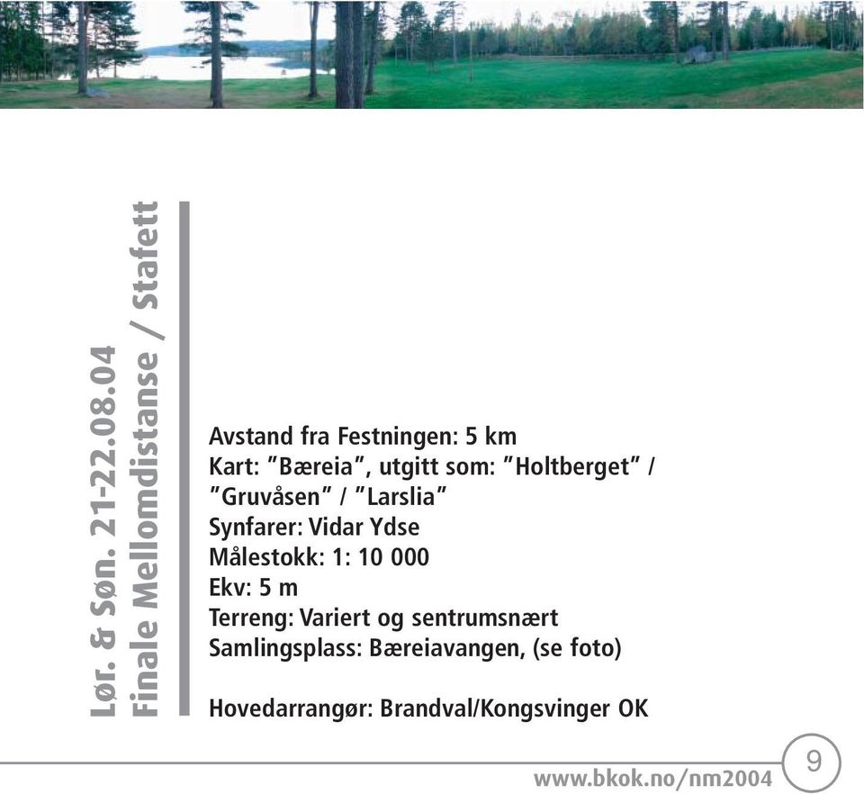 utgitt som: Holtberget / Gruvåsen / Larslia Synfarer: Vidar Ydse Målestokk: 1: 10