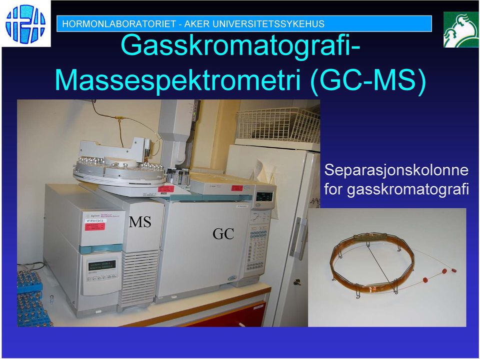 Gasskromatografi-
