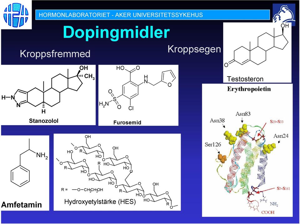 Stanozolol Furosemid OH NH 2 Amfetamin O R R = O HO R O O HO O HO O HO O