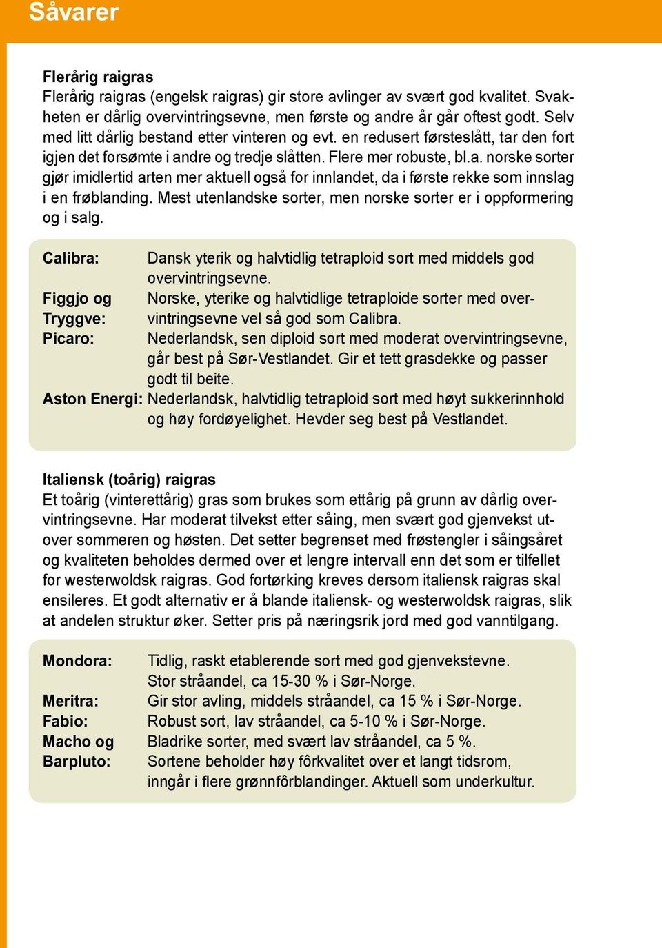 Mest utenlandske sorter, men norske sorter er i oppformering og i salg. Calibra: Dansk yterik og halvtidlig tetraploid sort med middels god overvintringsevne.