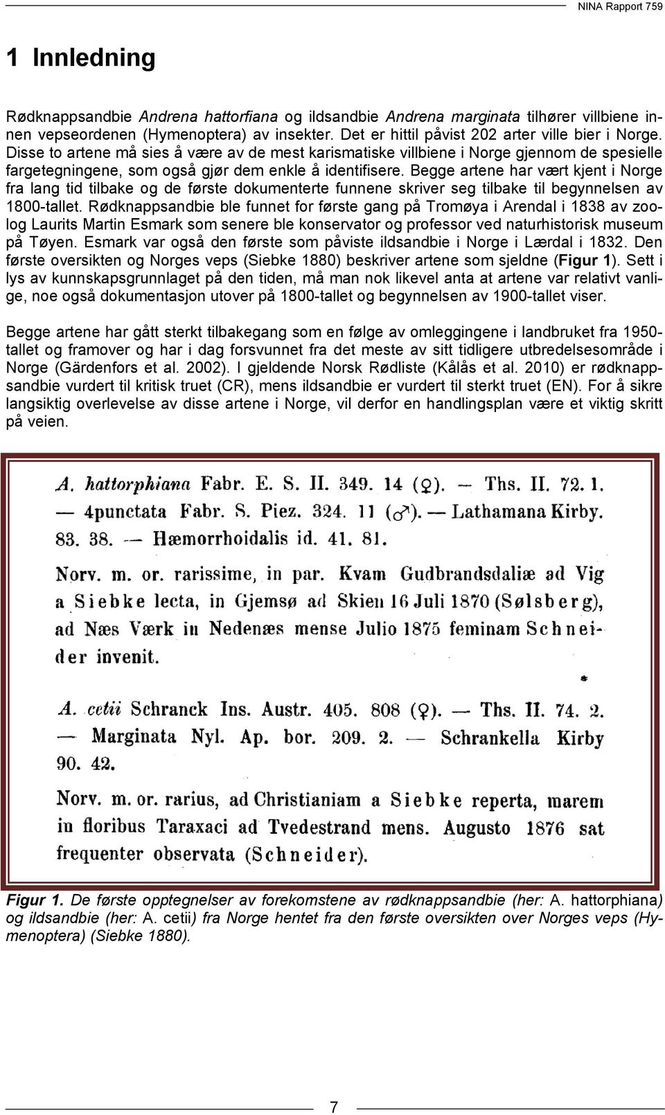 Begge artene har vært kjent i Norge fra lang tid tilbake og de første dokumenterte funnene skriver seg tilbake til begynnelsen av 1800-tallet.