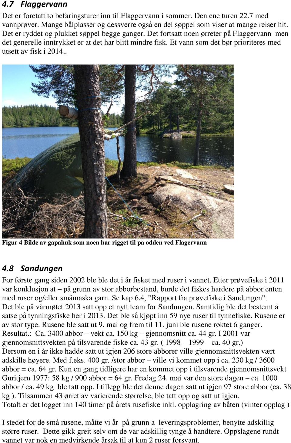 Et vann som det bør prioriteres med utsett av fisk i 2014.. Figur 4 Bilde av gapahuk som noen har rigget til på odden ved Flagervann 4.