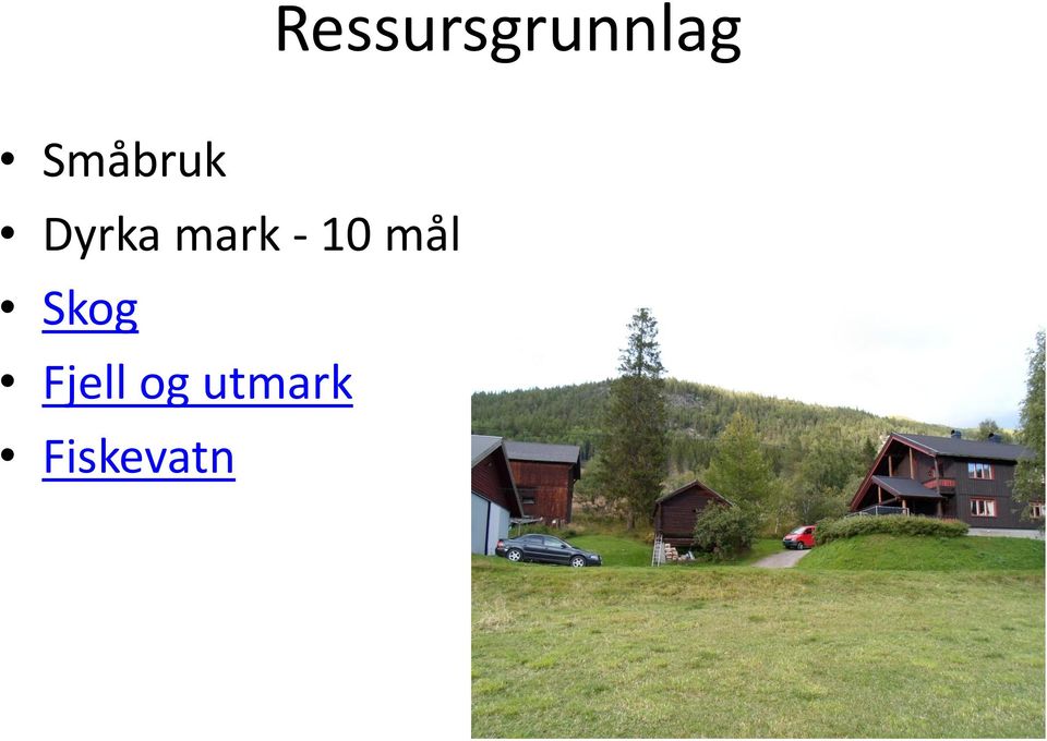 - 10 mål Skog