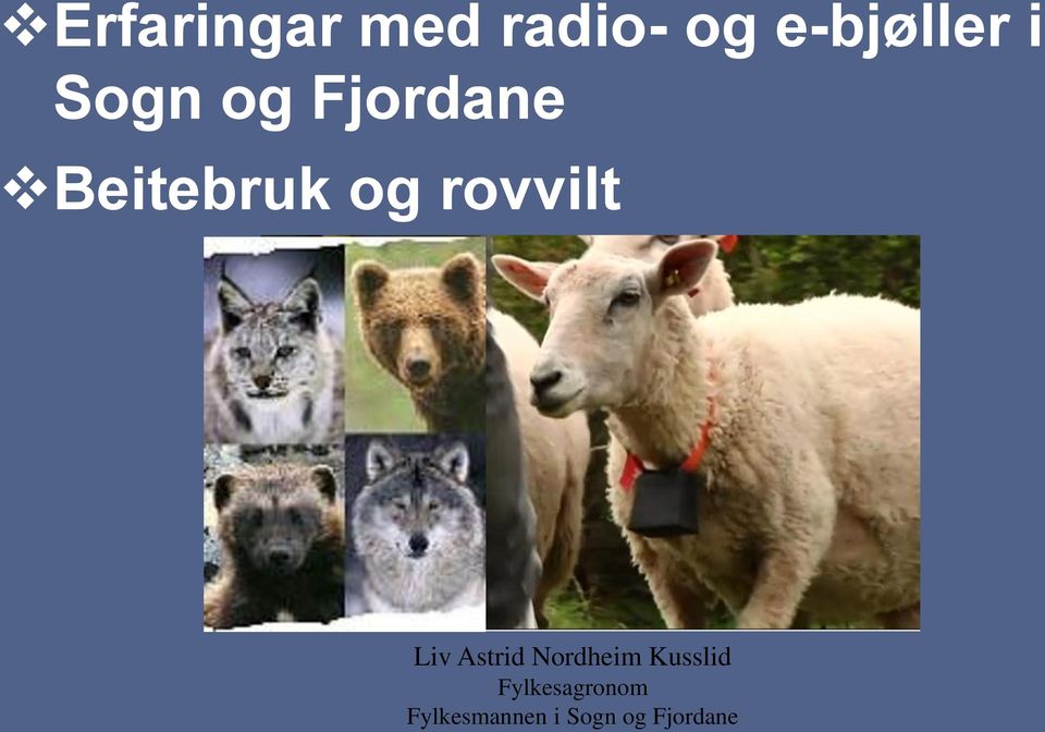 rovvilt Liv Astrid Nordheim Kusslid