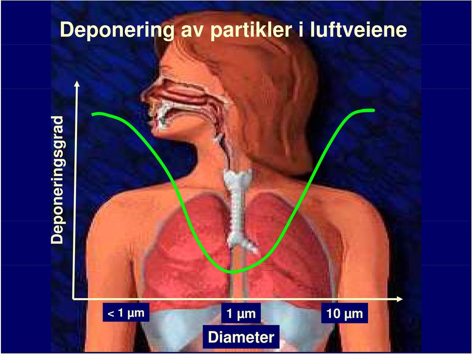 luftveiene ad