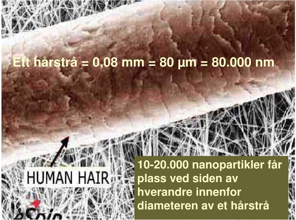 000 Diameter 000 nanopartikler 50 nm