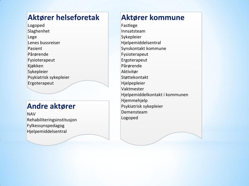 Aktører kommune Fastlege Innsatsteam Sykepleier Hjelpemiddelsentral Synskontakt kommune Fysioterapeut Ergoterapeut