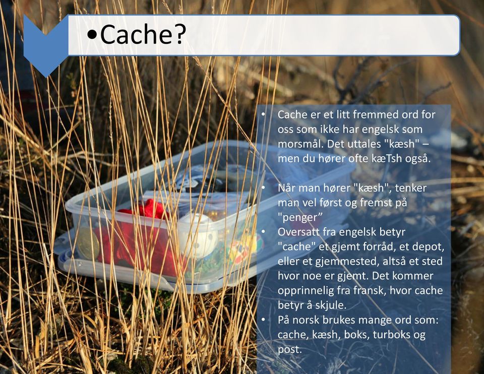Når man hører "kæsh", tenker man vel først og fremst på "penger Oversatt fra engelsk betyr "cache" et gjemt