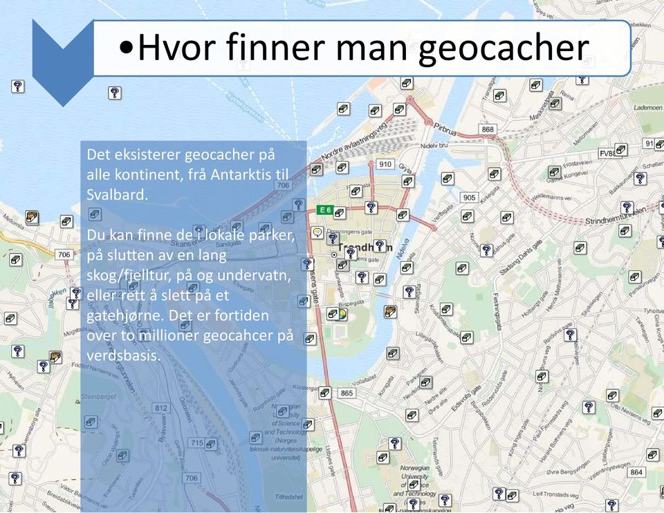 Du kan finne de i lokale parker, på slutten av en lang skog/fjelltur,