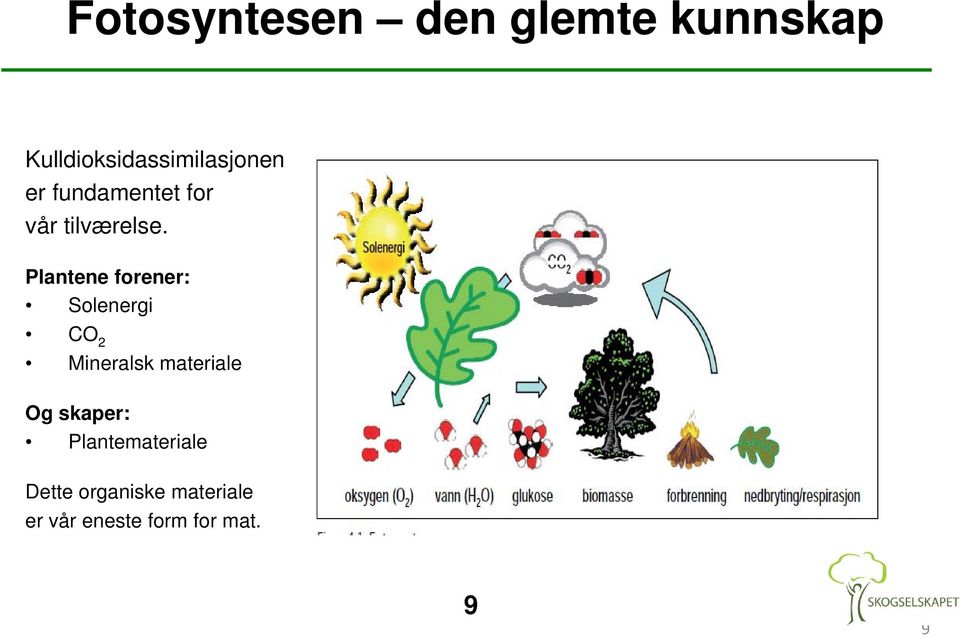 tilværelse.