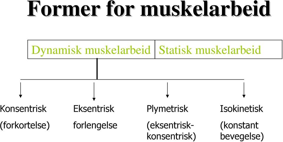 Plymetrisk Isokinetisk (forkortelse)