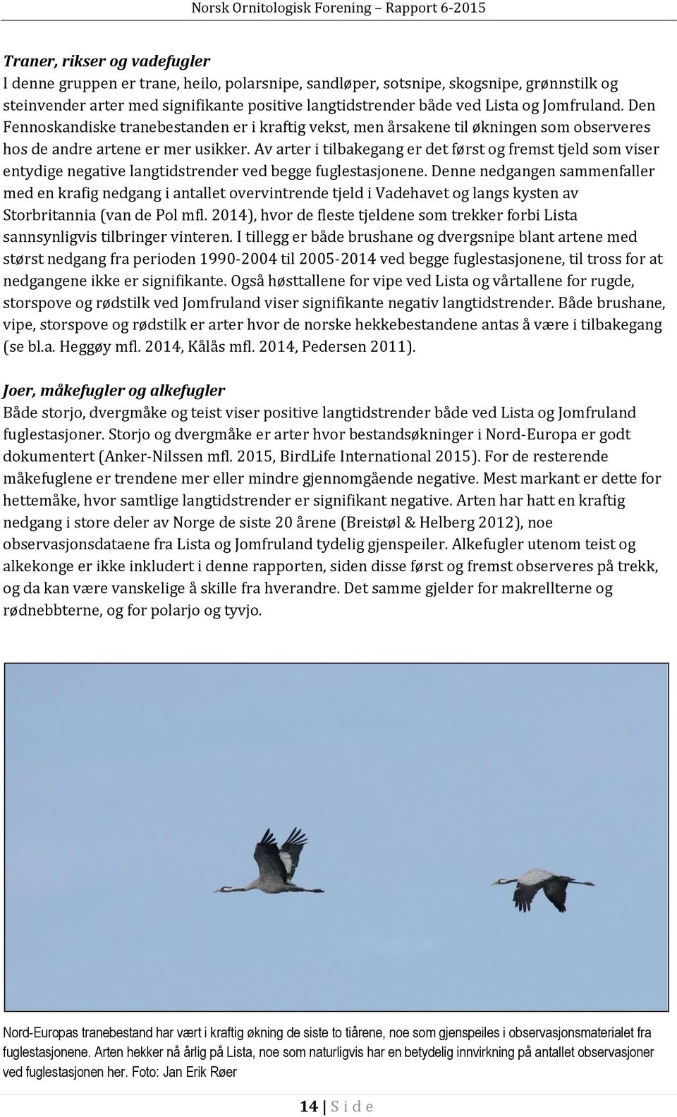 Av arter i tilbakegang er det først og fremst tjeld som viser entydige negative langtidstrender ved begge fuglestasjonene.