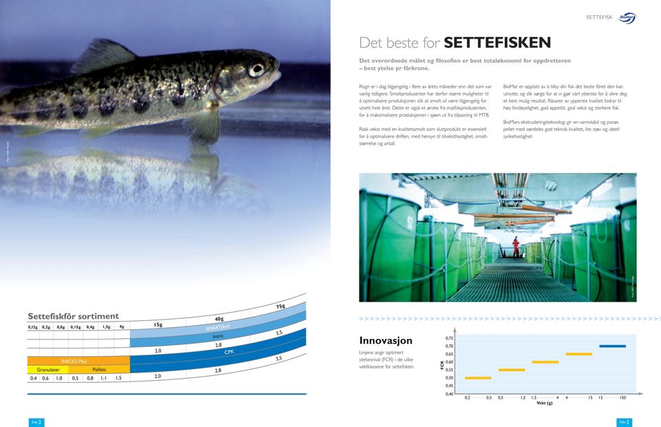 Smoltprodusenter har derfor større muligheter til å optimalisere produksjonen slik at smolt vil være tilgjengelig for utsett hele året.