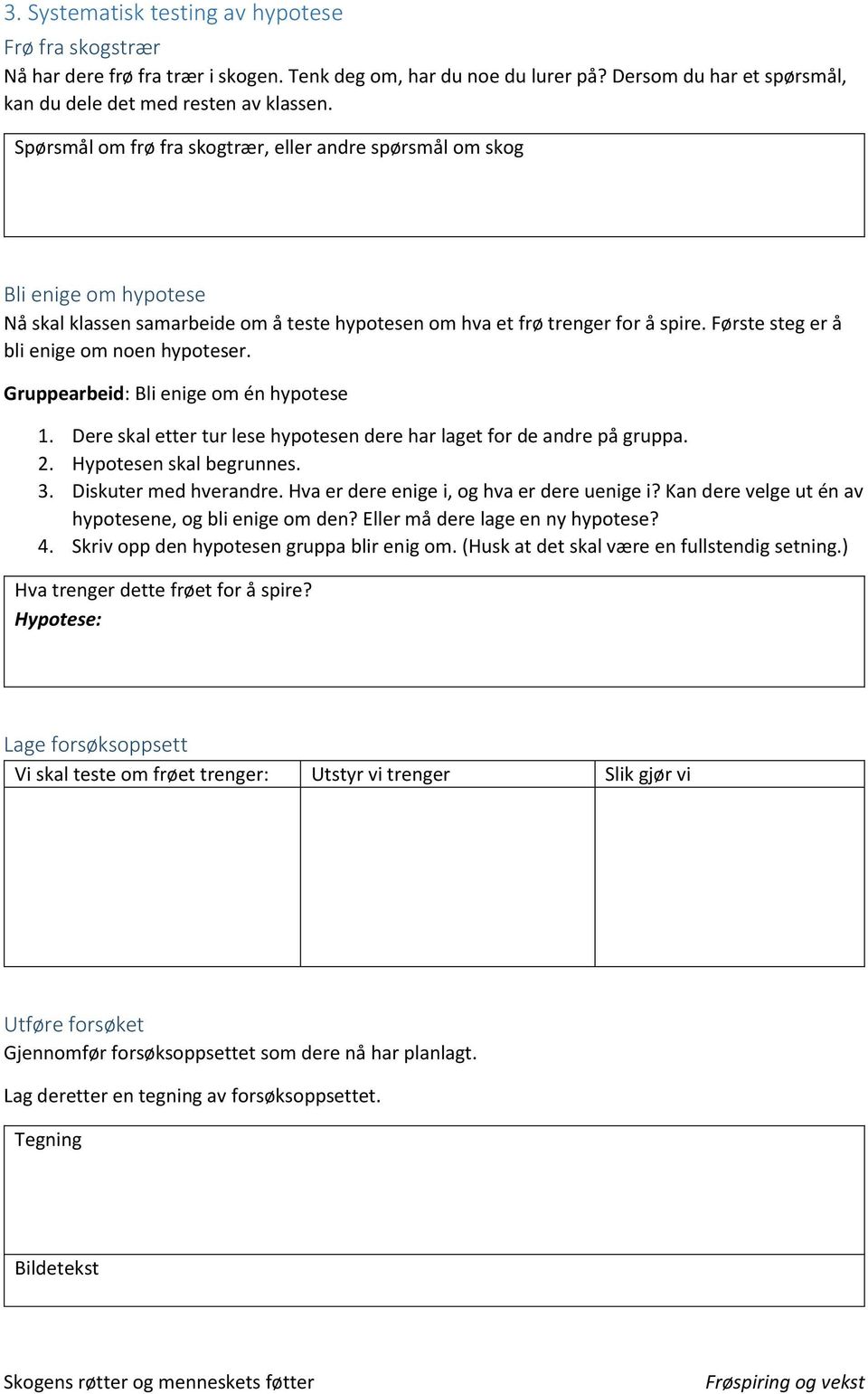 Første steg er å bli enige om noen hypoteser. Gruppearbeid: Bli enige om én hypotese 1. Dere skal etter tur lese hypotesen dere har laget for de andre på gruppa. 2. Hypotesen skal begrunnes. 3.