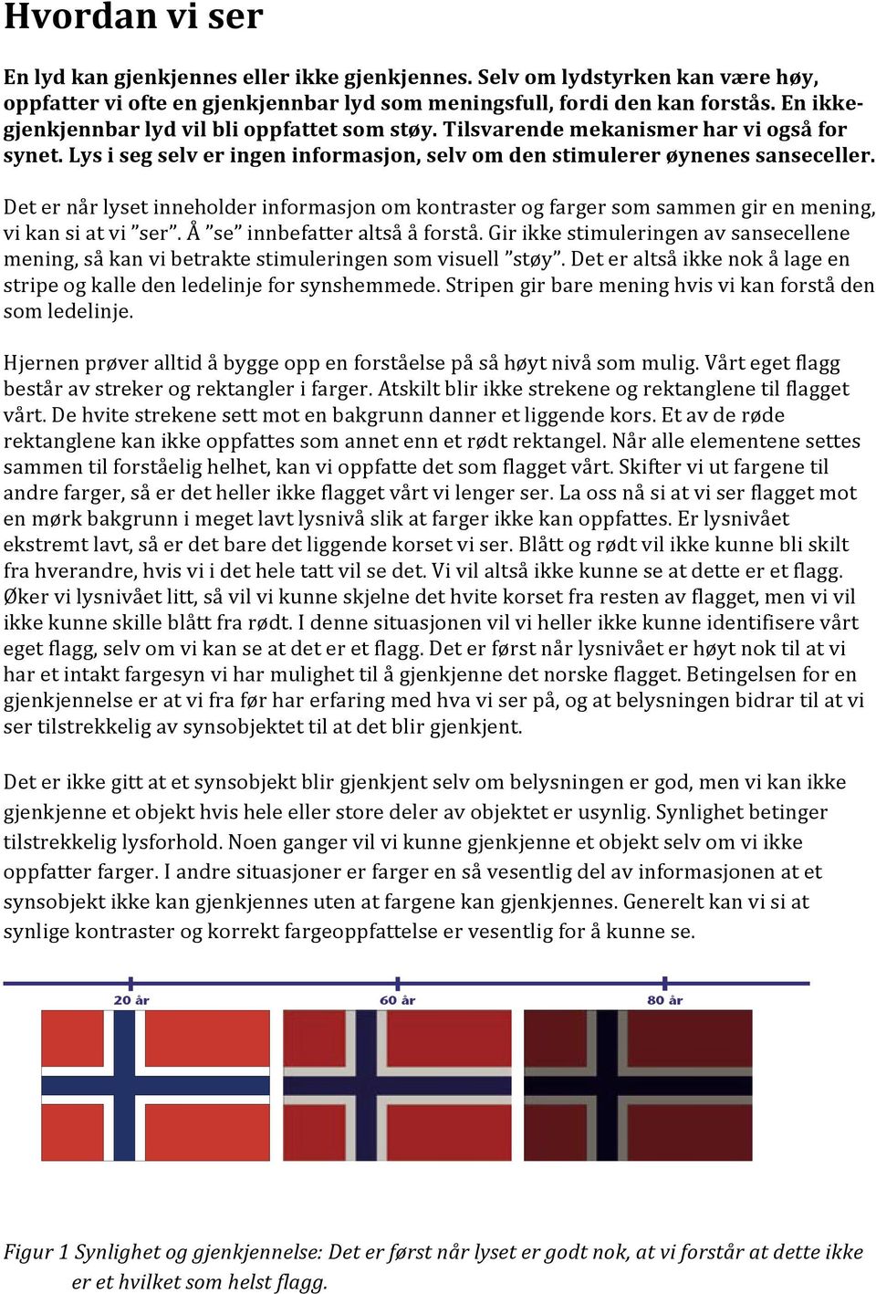 Det er når lyset inneholder informasjon om kontraster og farger som sammen gir en mening, vi kan si at vi ser. Å se innbefatter altså å forstå.