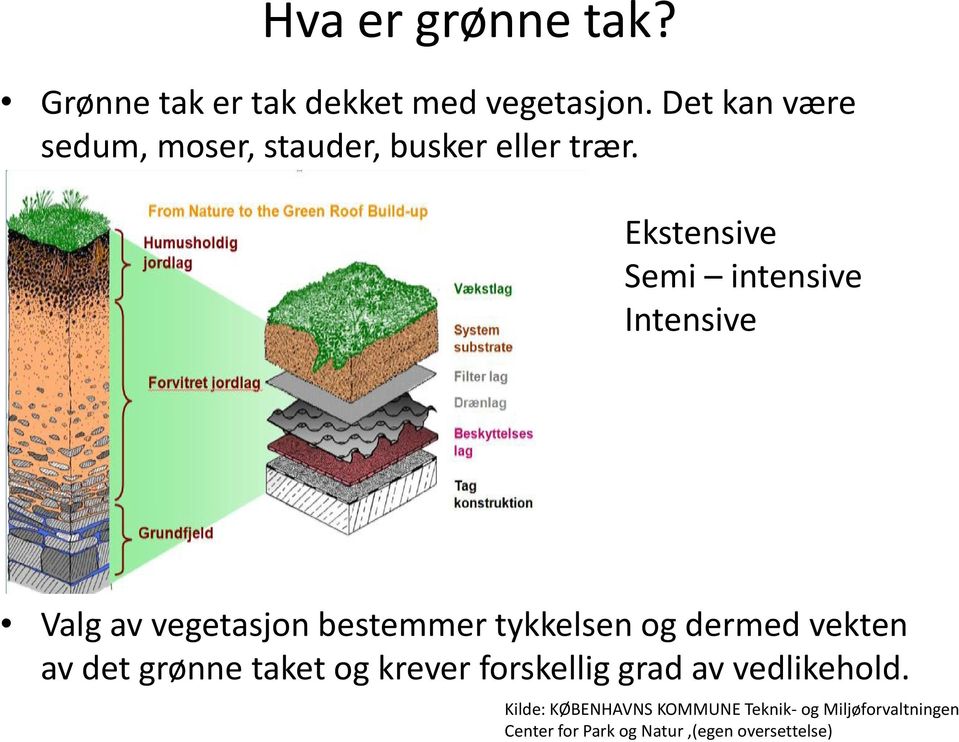 Ekstensive Semi intensive Intensive Valg av vegetasjon bestemmer tykkelsen og dermed vekten