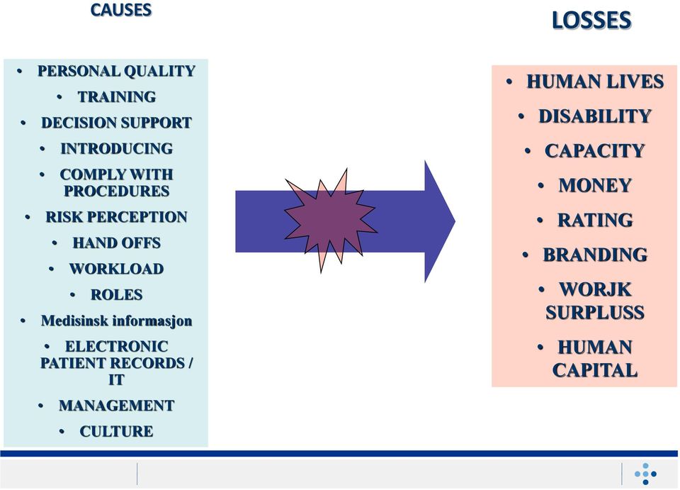 informasjon ELECTRONIC PATIENT RECORDS / IT MANAGEMENT CULTURE LOSSES