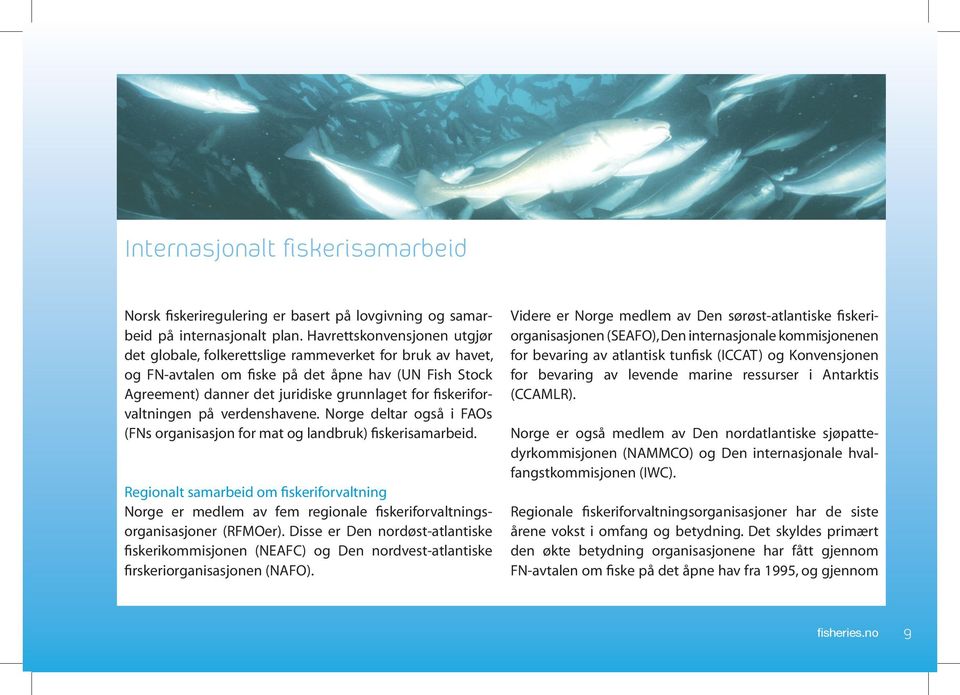 fiskeriforvaltningen på verdenshavene. Norge deltar også i FAOs (FNs organisasjon for mat og landbruk) fiskerisamarbeid.