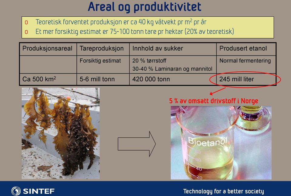 Innhold av sukker Produsert etanol Forsiktig estimat 20 % tørrstoff Normal fermentering 30-40 %