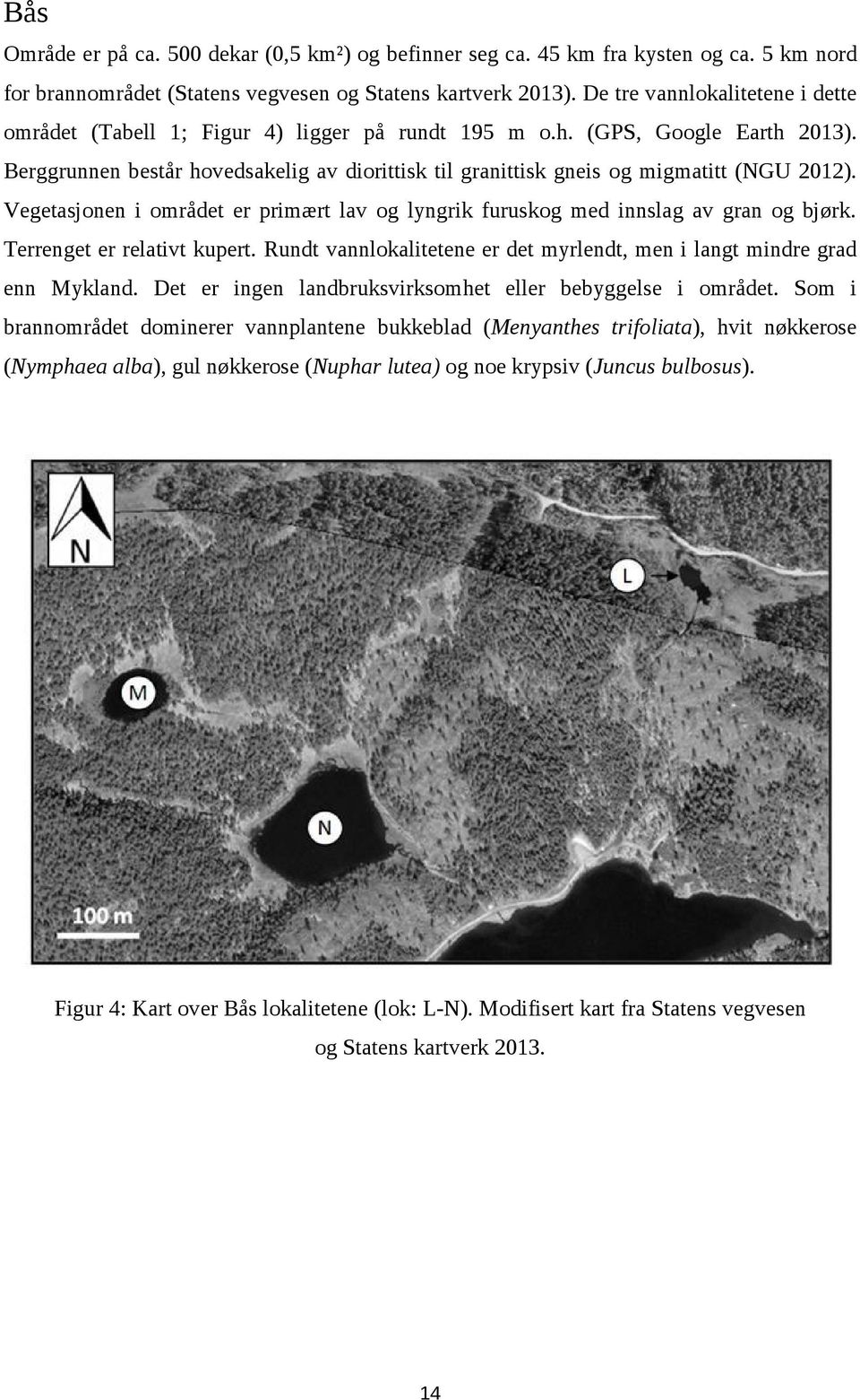 Berggrunnen består hovedsakelig av diorittisk til granittisk gneis og migmatitt (NGU 2012). Vegetasjonen i området er primært lav og lyngrik furuskog med innslag av gran og bjørk.